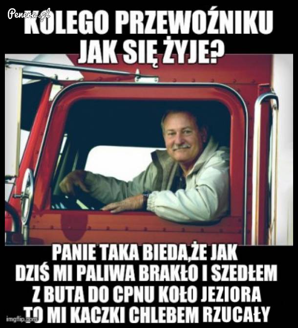 U przewoźników bez zmian