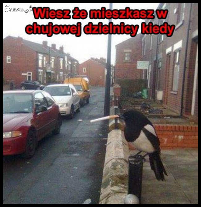 Wiesz że mieszkasz w ch*jowej dzielnicy kiedy...