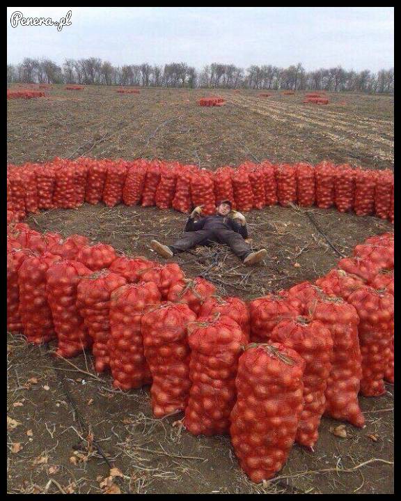 Cebulackie Walentynki