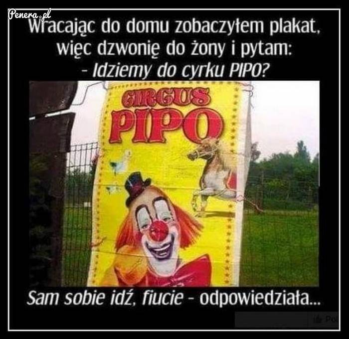 Chcesz zaprosić żonę do cyrku