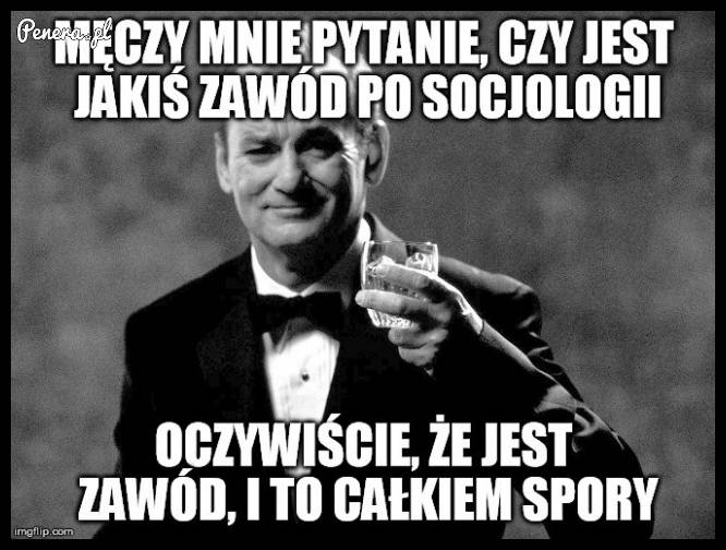Czy jest jakiś zawód po socjologi?