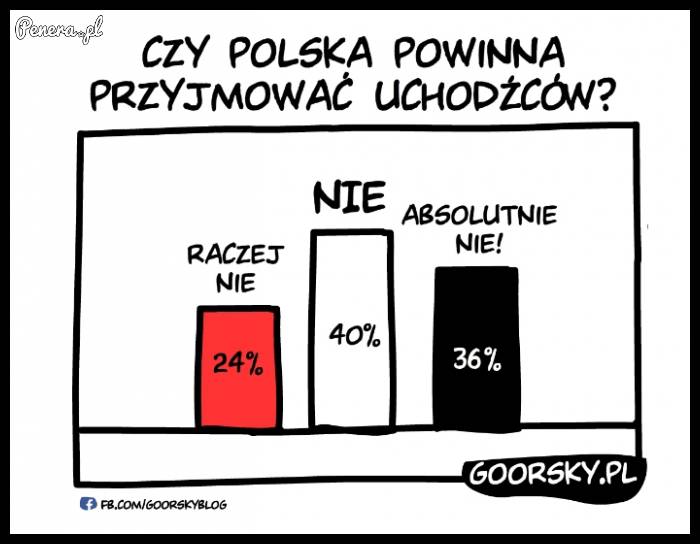 Czy Polska powinna przyjmować uchodźców?