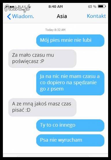 Dla psa to nie ma czasu