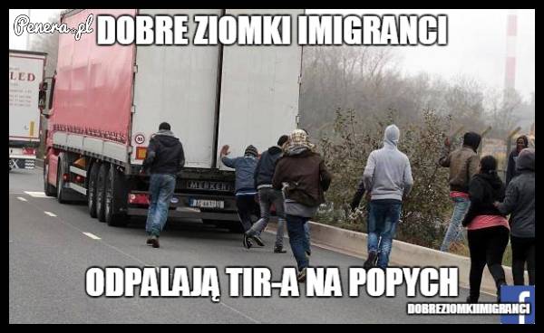Dobre ziomki imigranci