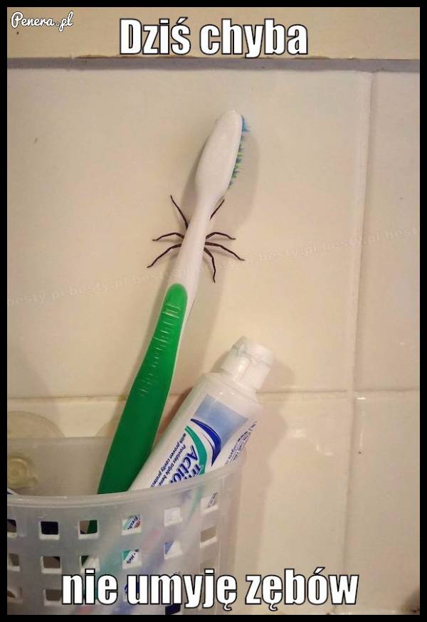 Dziś odpuszczę sobie mycie zębów