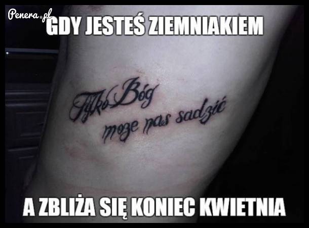 Gdy jesteś ziemniakiem