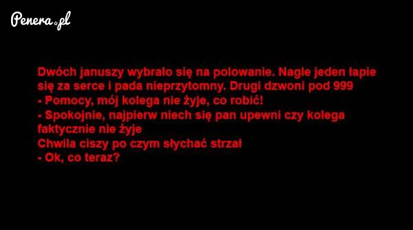 Kawał - Kiedy dwóch Januszy wybierze się na polowanie