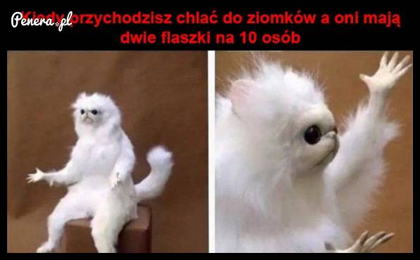Kiedy przychodzisz chlać do ziomków