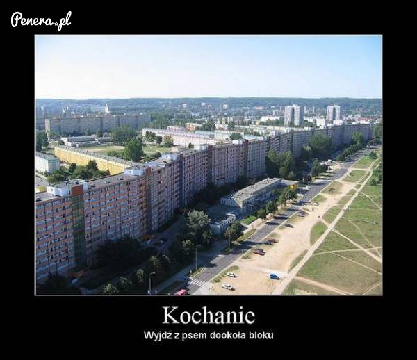 Kochanie wyjdź z psem dookoła bloku!