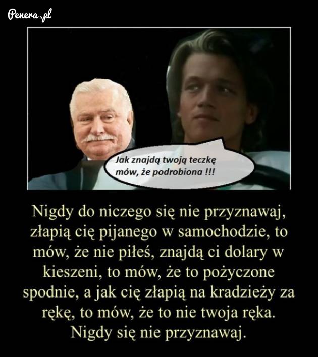 Młode Wilki - historia współczesna