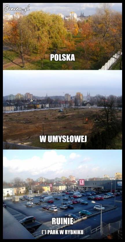 Polska w umysłowej ruinie!