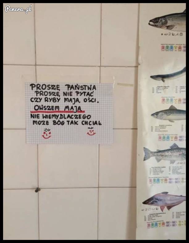 Proszę nie pytać czy ryby mają ości