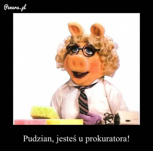 Pudzian, jesteś u prokuratora
