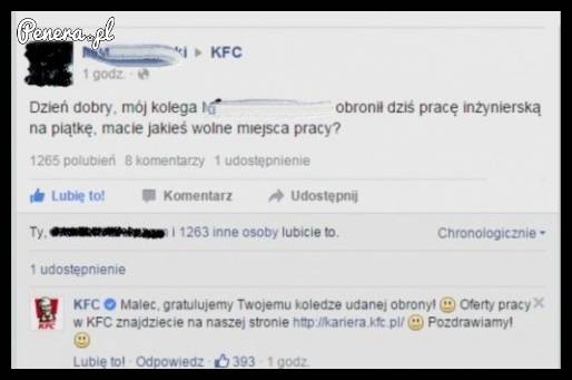 Pytanie o pracę po obronieniu magisterki