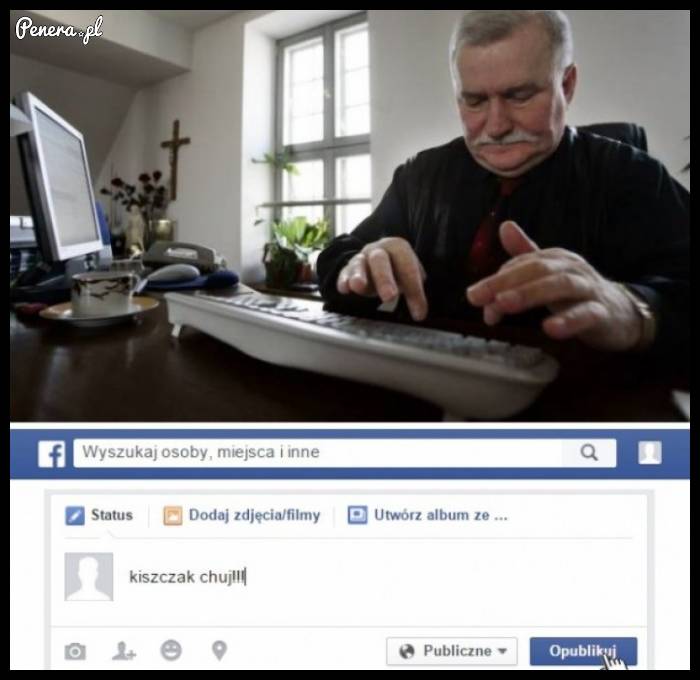 Reakcja Bolka w sieci