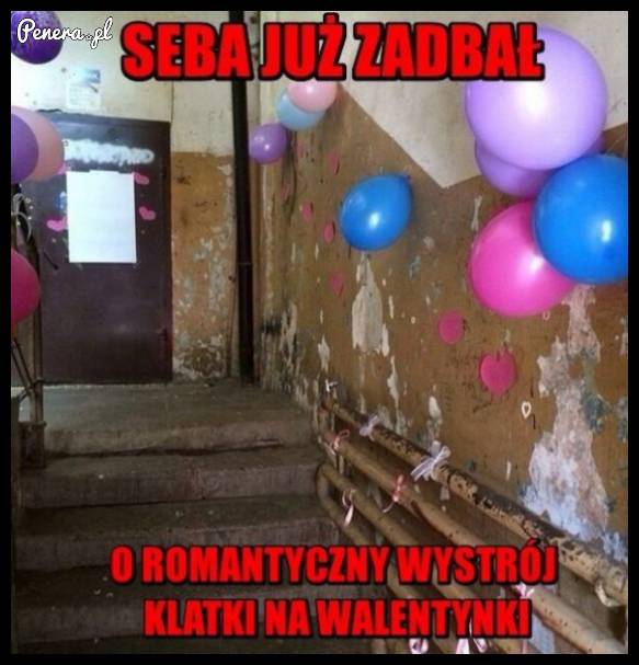 Seba już zadbał o romantyczny wystrój klatki na Walentynki