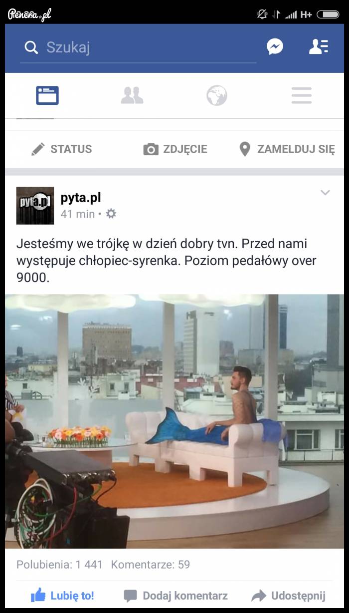 Tymczasem w Dzień Dobry TVN
