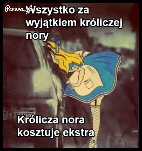 Wszystko za wyjątkiem króliczej nory