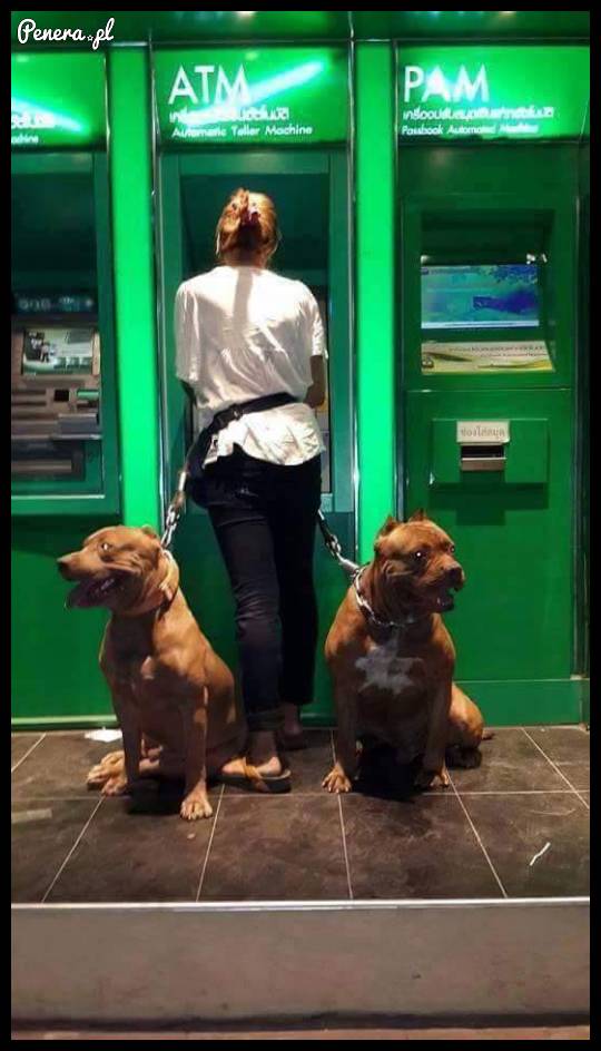 Zabezpieczenie antykradzieżowe