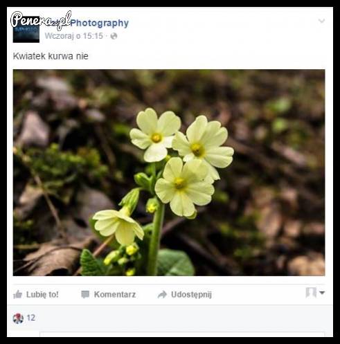 Gdy Seba zostanie fotografem