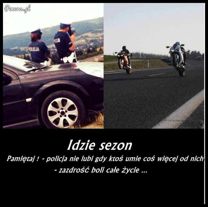 Idzie sezon - uważaj na baranów