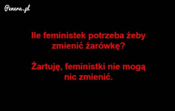 Ile feministek potrzeba do zmiany żarówki?