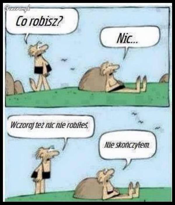 Jak coś robić to sumiennie