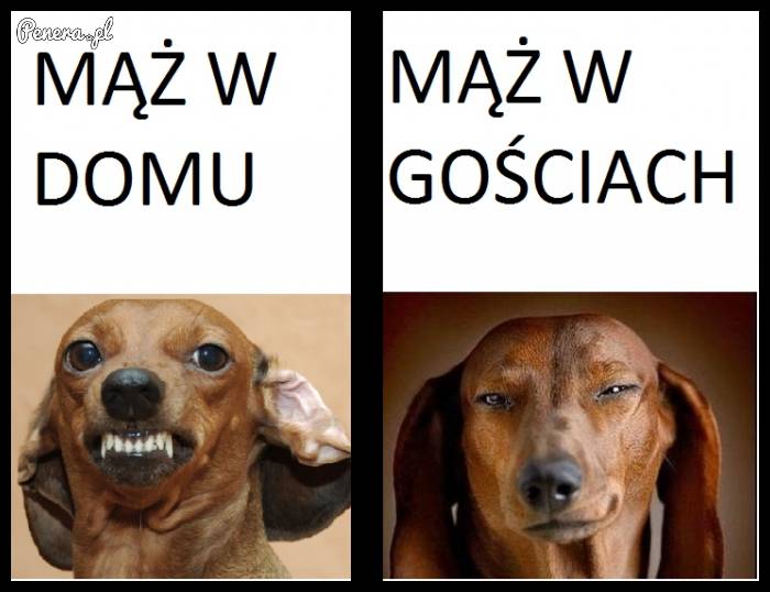 Mąż w domu a mąż w gościach