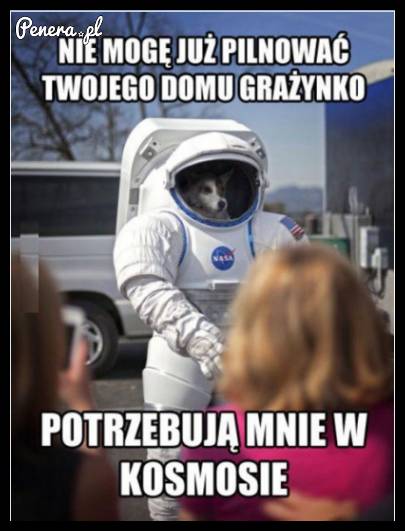 Nie mogę już pilnować Twojego domu Grażyno