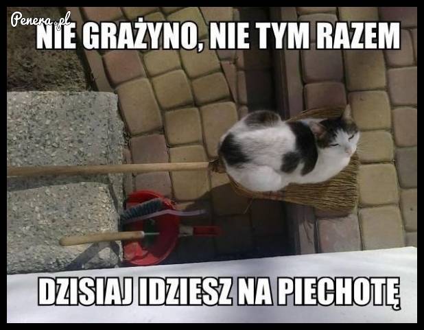 Nie tym razem Grażyno