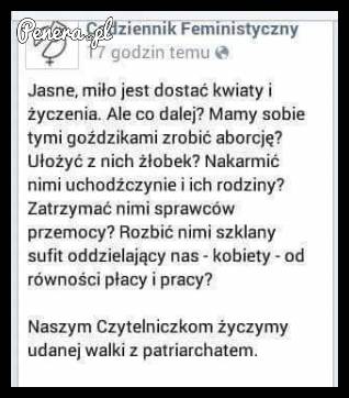 Nowości z Codziennika Feministycznego