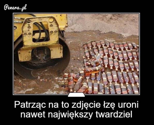 Patrząc na to zdjęcie łże uroni nawet największy twardziel!