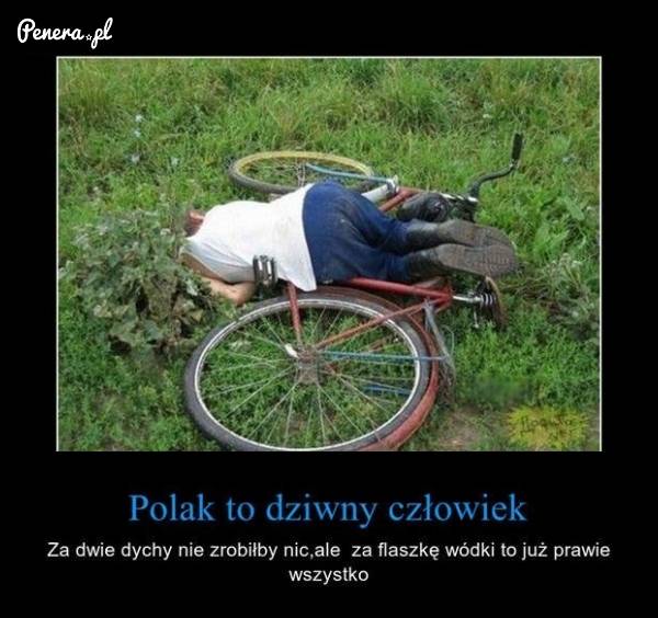 Polak to dziwny człowiek