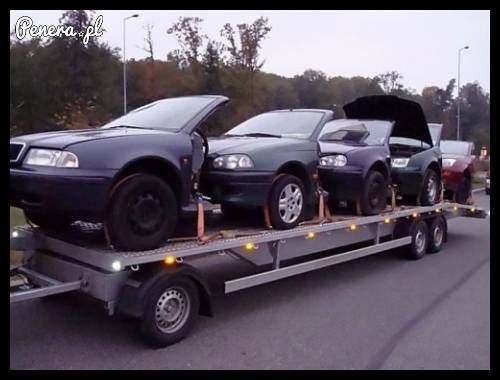 Przeszczepy jadą do Polski jako nie bite