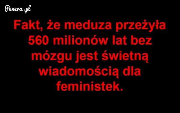 Świetna wiadomość dla feministek!