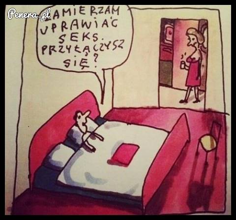 Szybki tekścik do żony