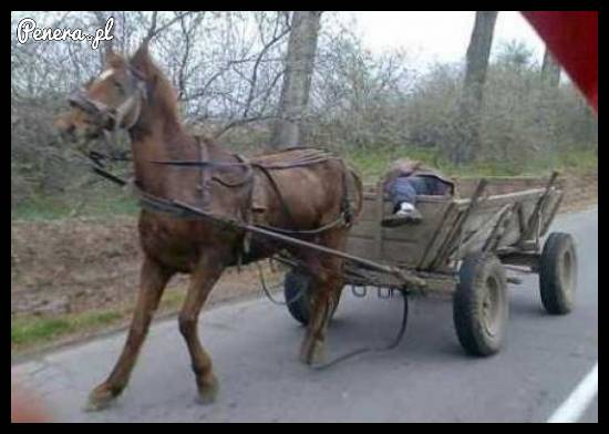 Tak wygląda jazda na autopilocie