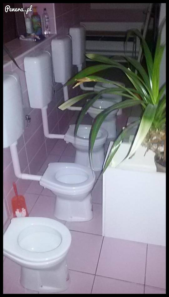 Tymczasem w kibelku na Słowacji