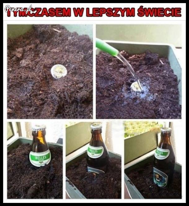 Tymczasem w lepszym świecie