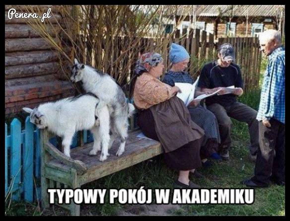 Typowy pokój w akademiku!