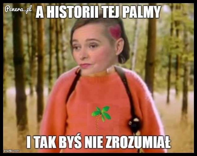 A historii tej palmy