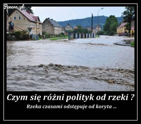 Czym różni się polityk od rzeki?
