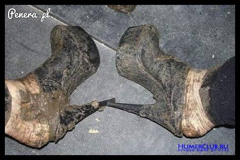 Dama po powrocie do domu