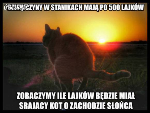 Dziewczyny w stanikach mają po 500 lajków