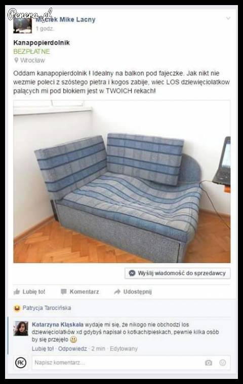 Kanapopi*rdolnik pilnie do sprzedania!