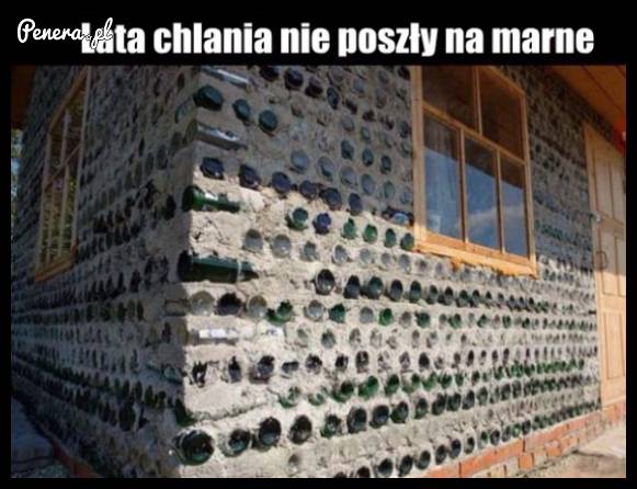 Lata chlania nie poszły na marne