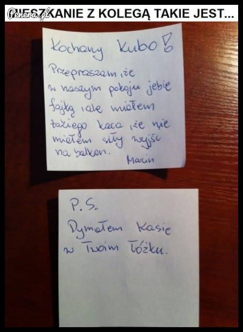 Mieszkanie z kolegą takie jest