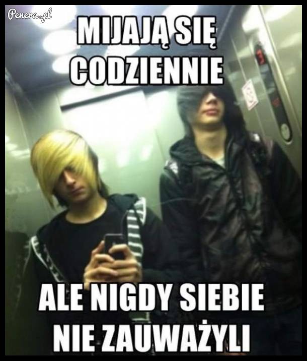 MIjają się codziennie