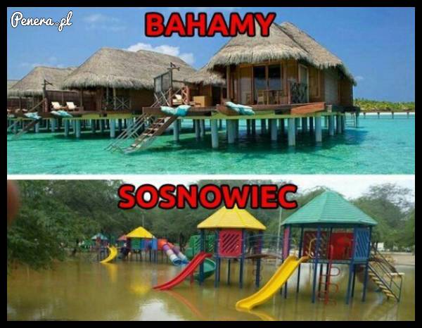 Na wakacje Bahama czy Sosnowiec?