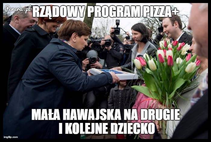 Rządowy program PIZZA+